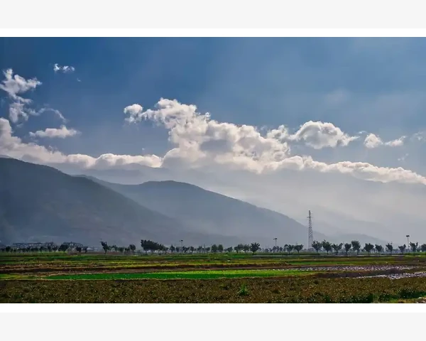 针灸后可以做头疗吗？探讨二者的结合与效果